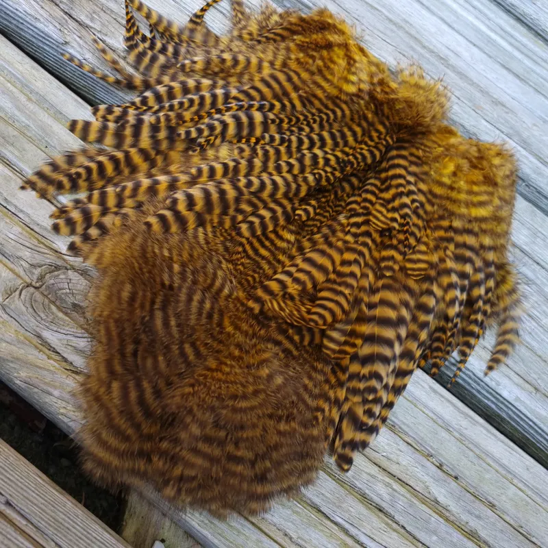 Whiting Rooster Soft Hackle with Chickabou in Grizzly Dyed Copper Olive-2