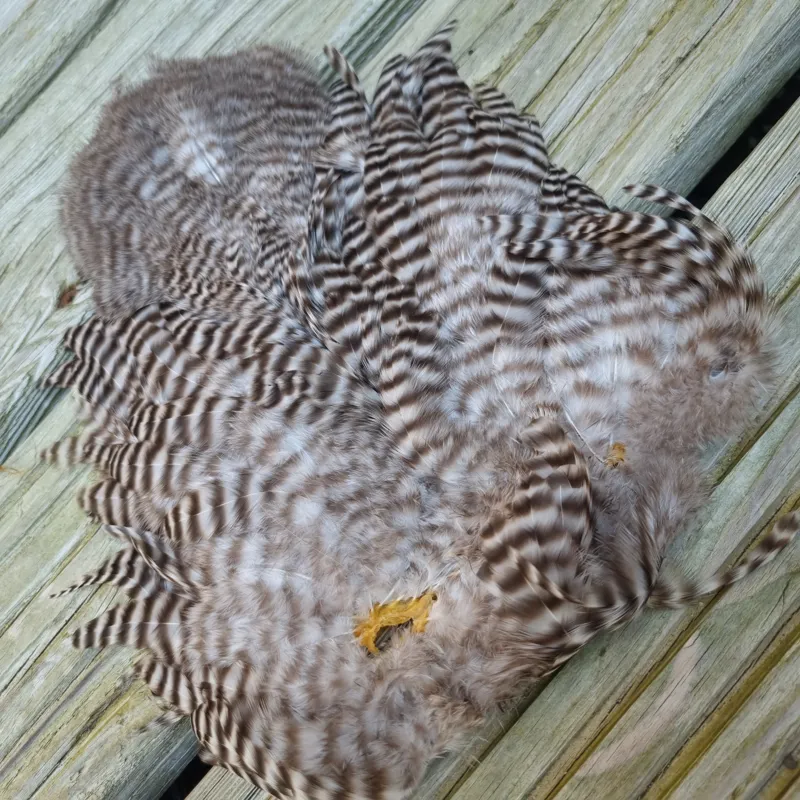 Whiting Rooster Soft Hackle with Chickabou in Grizzly-1