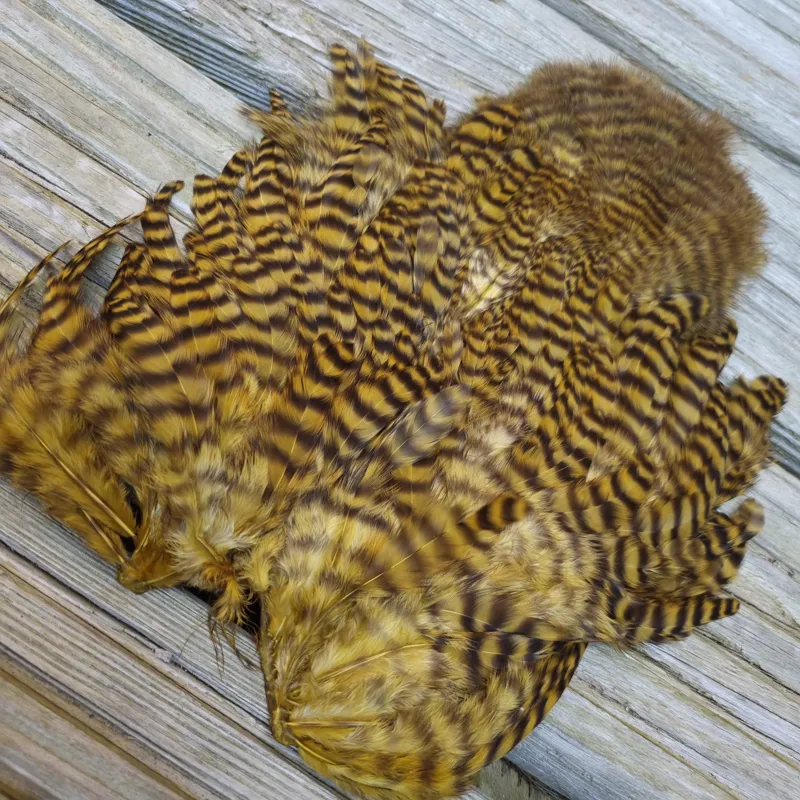 Whiting Rooster Soft Hackle with Chickabou in Grizzly Dyed Golden Olive-1