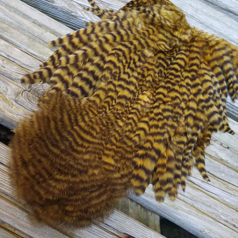 Whiting Rooster Soft Hackle with Chickabou in Grizzly Dyed Golden Olive