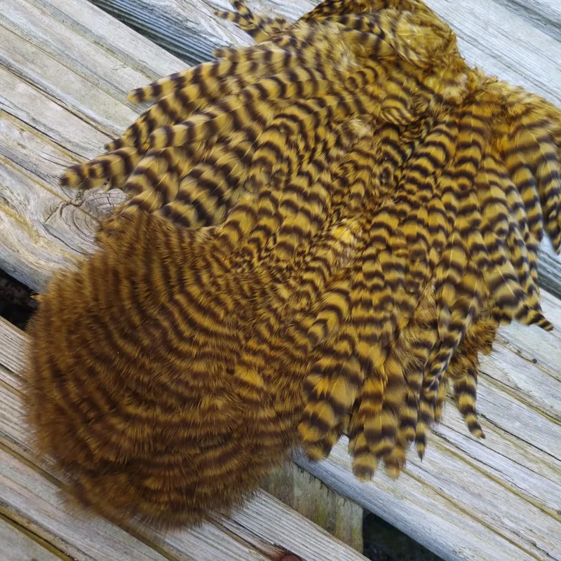 Whiting Rooster Soft Hackle with Chickabou in Grizzly Dyed Golden Olive-2