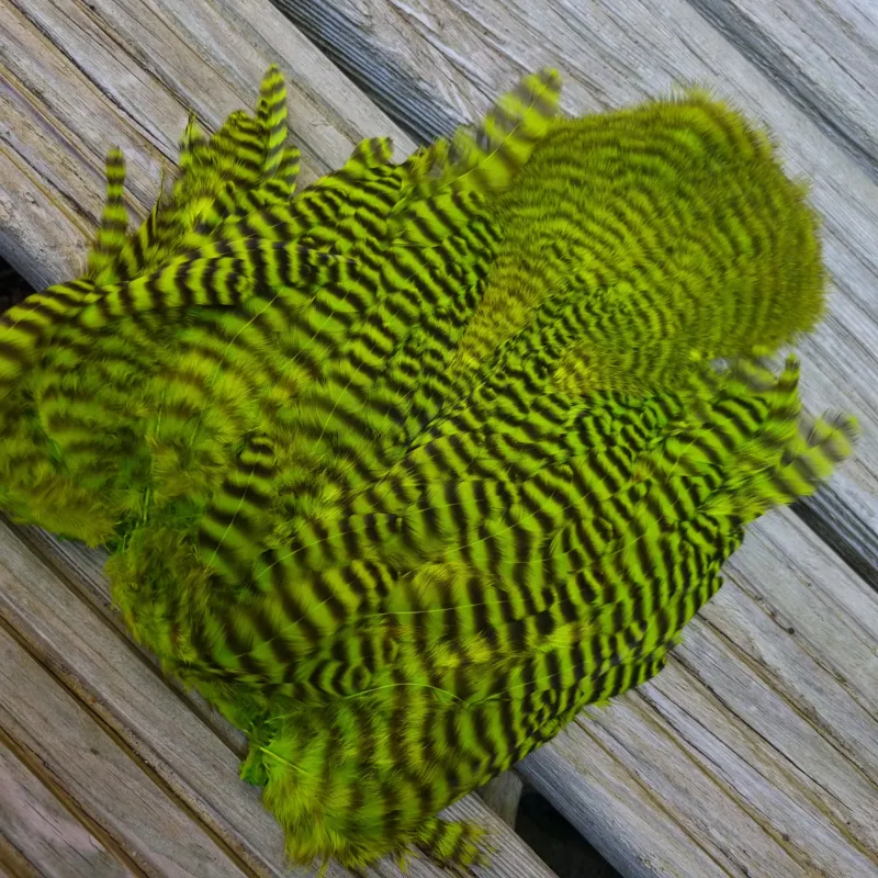 Whiting Rooster Soft Hackle with Chickabou in Grizzly Dyed Fl.Green Chartreuse-9