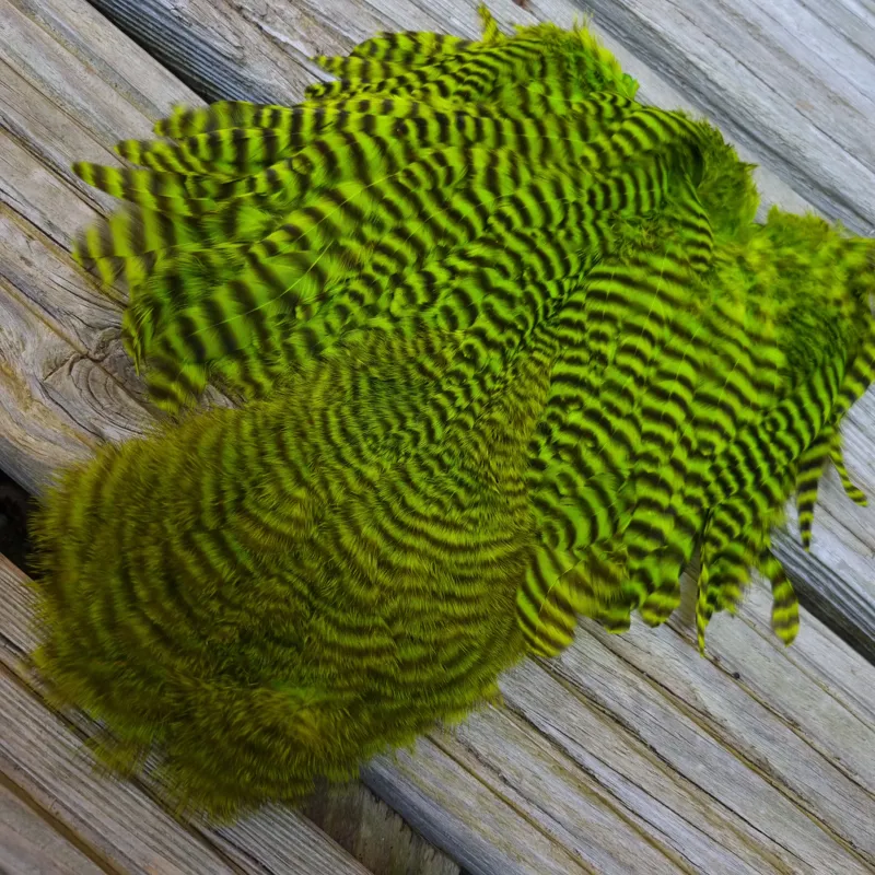 Whiting Rooster Soft Hackle with Chickabou in Grizzly Dyed Fl.Green Chartreuse-8