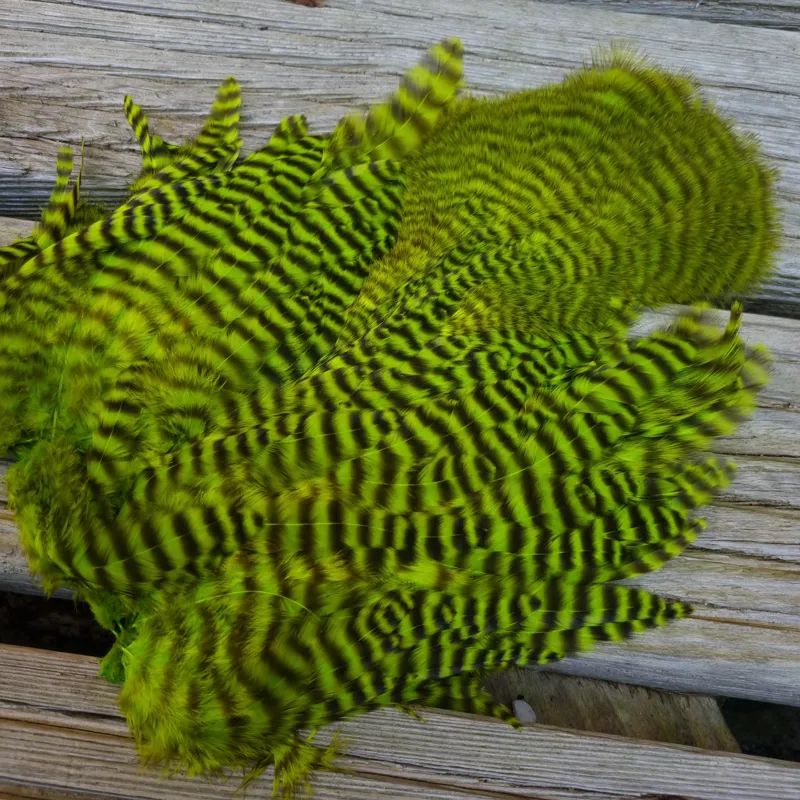 Whiting Rooster Soft Hackle with Chickabou in Grizzly Dyed Fl.Green Chartreuse-6