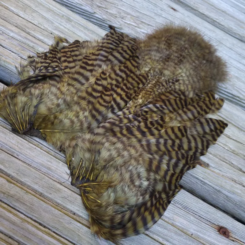 Whiting Rooster Soft Hackle with Chickabou in Grizzly Dyed Dark Olive-1