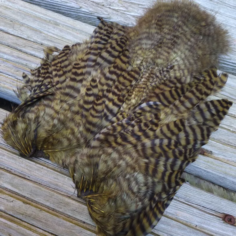 Whiting Rooster Soft Hackle with Chickabou in Grizzly Dyed Dark Olive