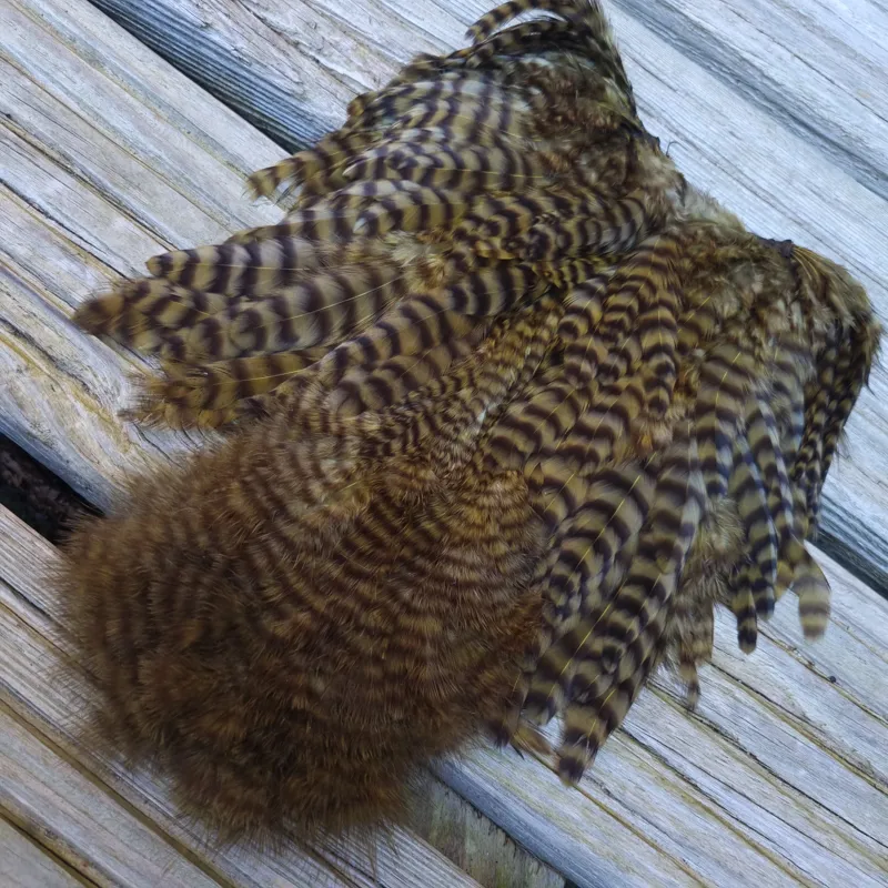 Whiting Rooster Soft Hackle with Chickabou in Grizzly Dyed Dark Olive-2