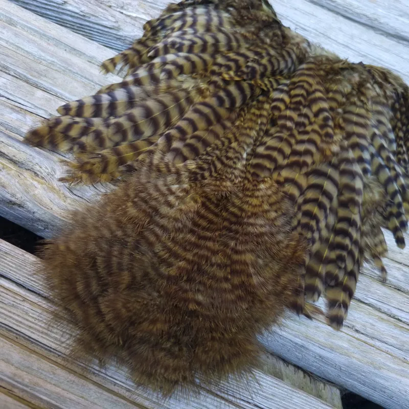 Whiting Rooster Soft Hackle with Chickabou in Grizzly Dyed Dark Olive-3