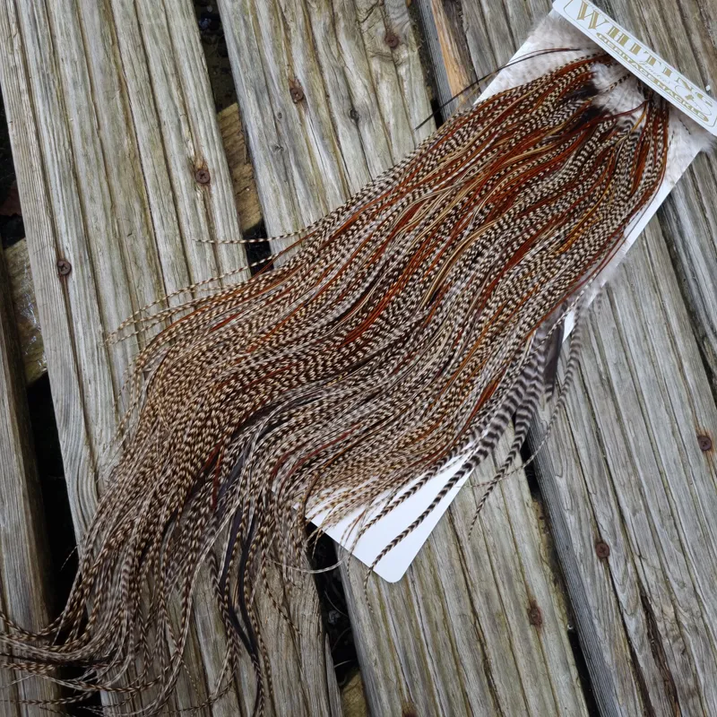 Whiting Heritage Hackles Rooster Saddle in Mixed Colours T Grizzly Splashed with Furnace Approx. Tying Size12/14/16/18/20 and a few going smaller-2