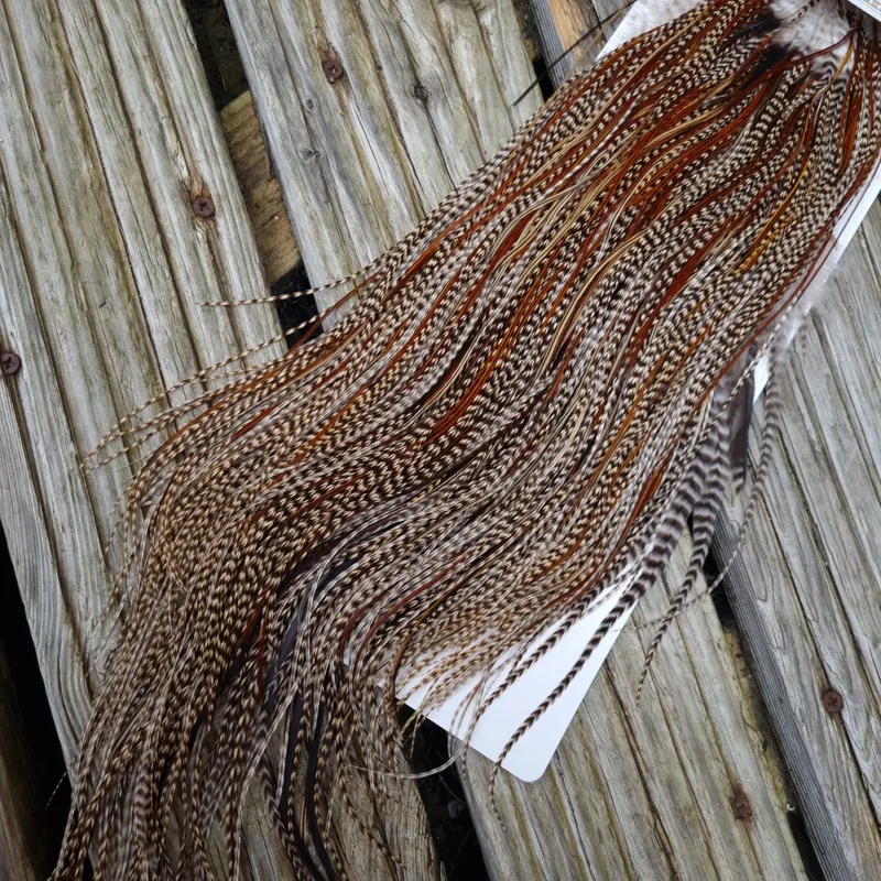 Whiting Heritage Hackles Rooster Saddle in Mixed Colours T Grizzly Splashed with Furnace Approx. Tying Size12/14/16/18/20 and a few going smaller-4