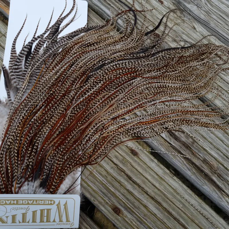 Whiting Heritage Hackles Rooster Saddle in Mixed Colours T Grizzly Splashed with Furnace Approx. Tying Size12/14/16/18/20 and a few going smaller