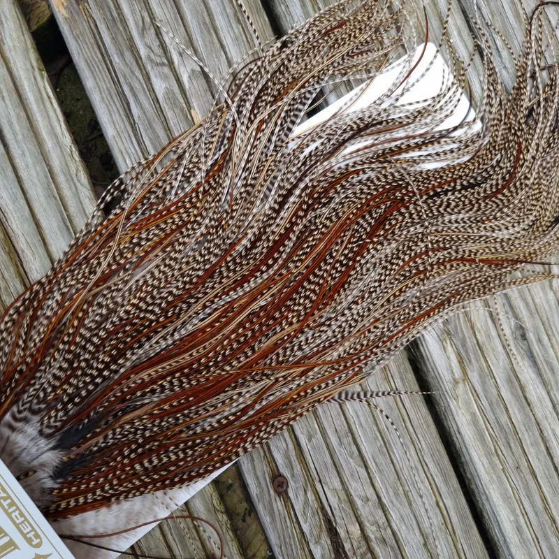 Whiting Heritage Hackles Rooster Saddle in Mixed Colours T Grizzly Splashed with Furnace Approx. Tying Size12/14/16/18/20 and a few going smaller-5