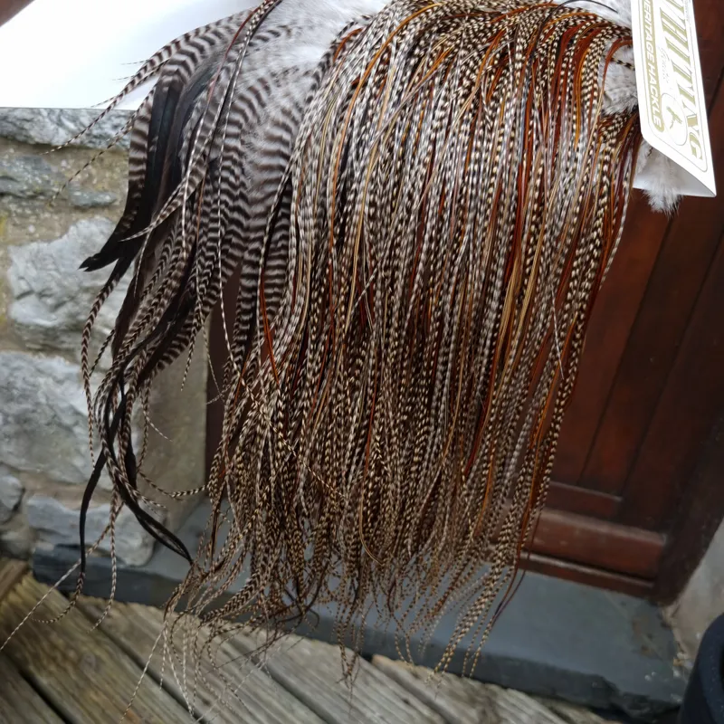 Whiting Heritage Hackles Rooster Saddle in Mixed Colours T Grizzly Splashed with Furnace Approx. Tying Size12/14/16/18/20 and a few going smaller-3