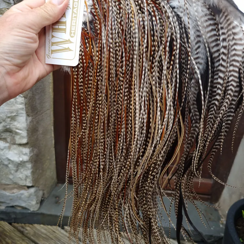 Whiting Heritage Hackles Rooster Saddle in Mixed Colours T Grizzly Splashed with Furnace Approx. Tying Size12/14/16/18/20 and a few going smaller-1