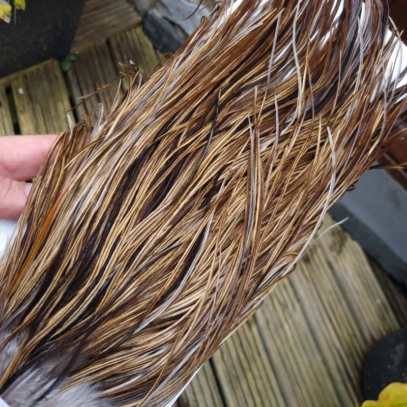 Whiting Heritage Hackles Rooster Saddle in Mixed Colours T Golden Badger/ Light/Medium/Dark Speckled Badger Approx. Tying Size 10/12/14-1