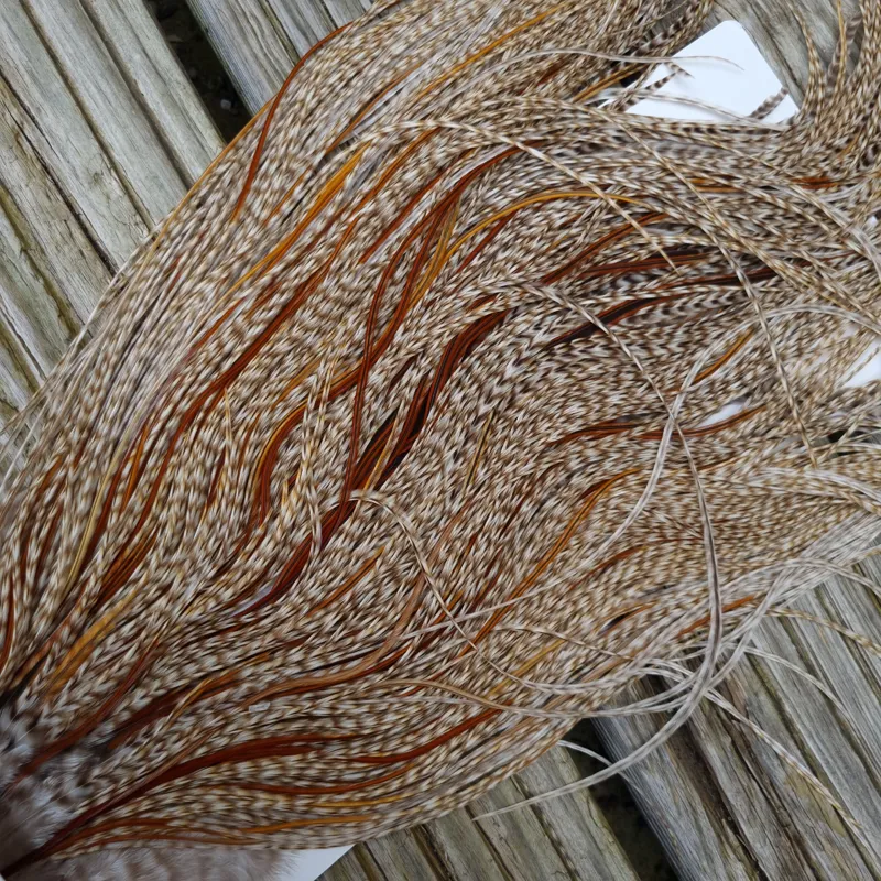 Whiting Heritage Hackles Rooster Saddle in Mixed Colours U Dun Grizzly Splashed with Furnace and Greenwell's hackles Approx.Tying Size 12/14/16-6