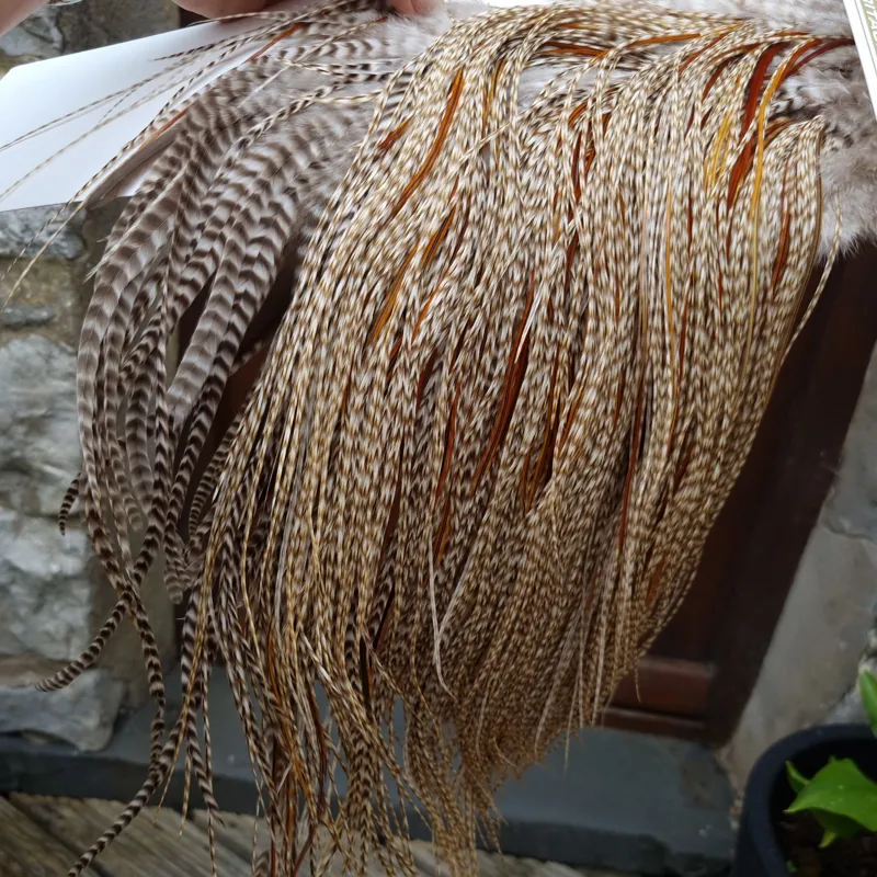 Whiting Heritage Hackles Rooster Saddle in Mixed Colours U Dun Grizzly Splashed with Furnace and Greenwell's hackles Approx.Tying Size 12/14/16