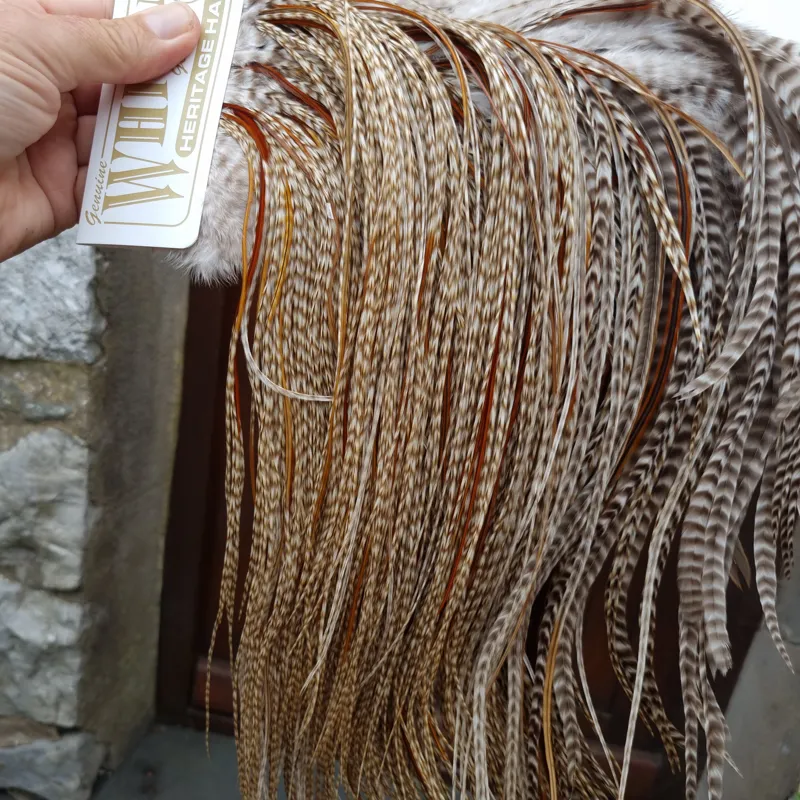 Whiting Heritage Hackles Rooster Saddle in Mixed Colours U Dun Grizzly Splashed with Furnace and Greenwell's hackles Approx.Tying Size 12/14/16-3