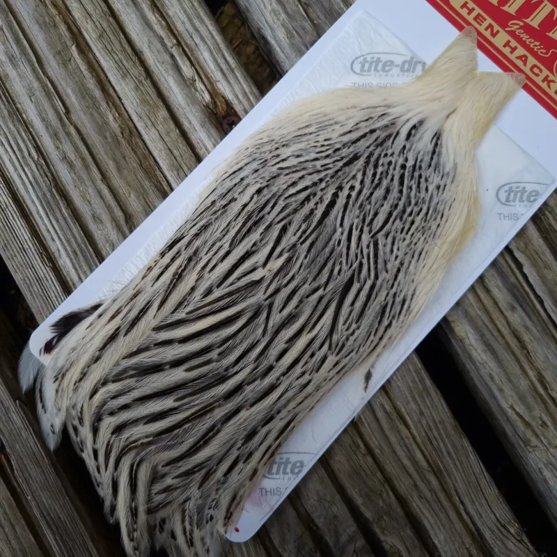 Whiting Hen Cape in Unique Variant A Silver Badger