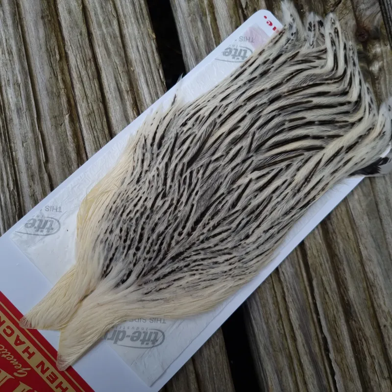 Whiting Hen Cape in Unique Variant A Silver Badger-1