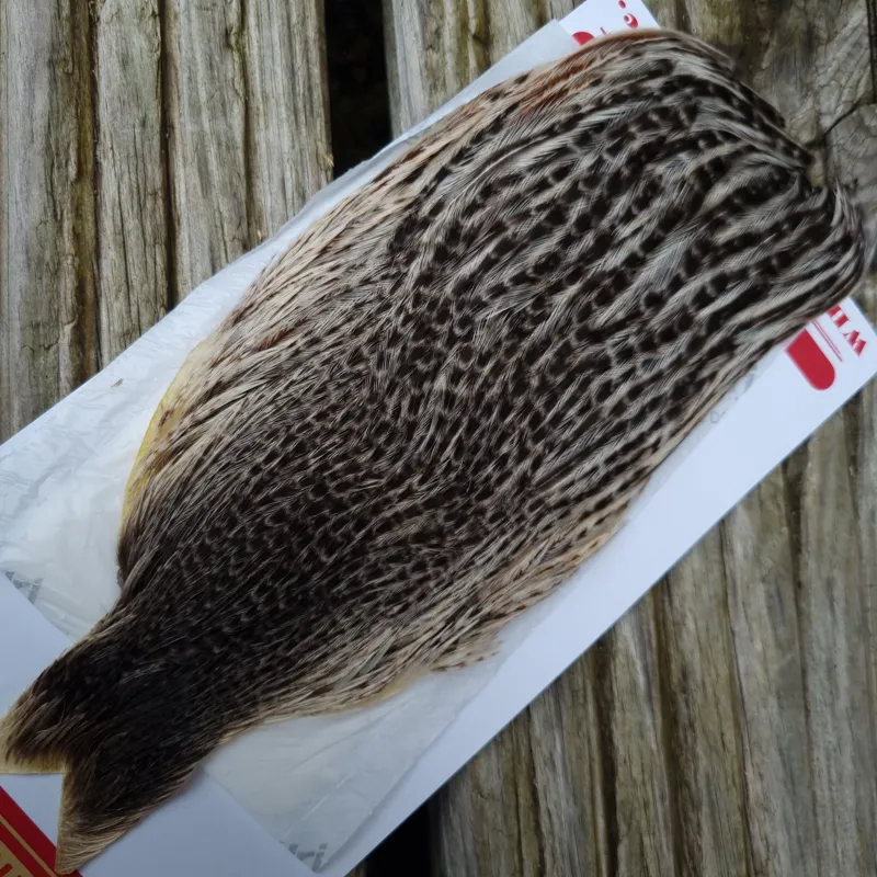 Whiting Hen Cape in Unique Variant C Mottled Silver Badger Variant-1