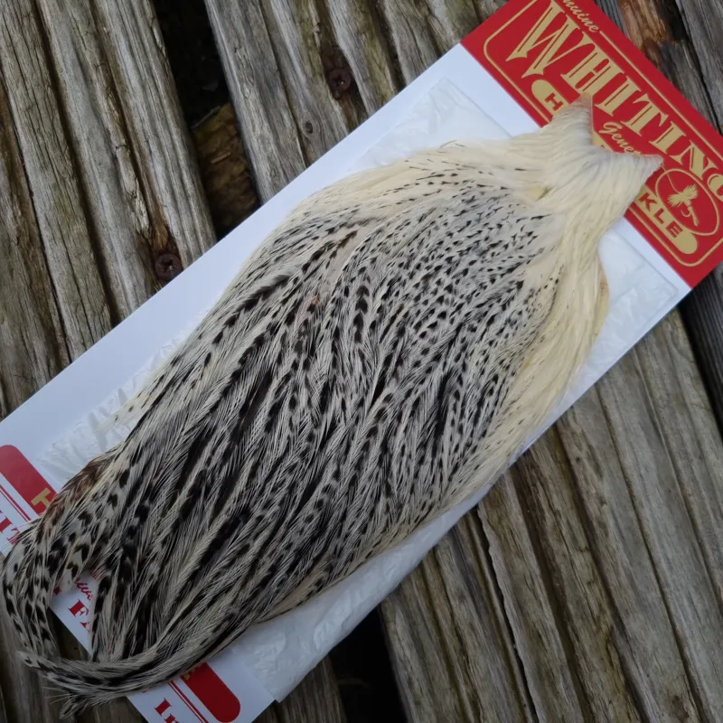 Whiting Hen Cape in Unique Variant E Cream/ Salt and Pepper
