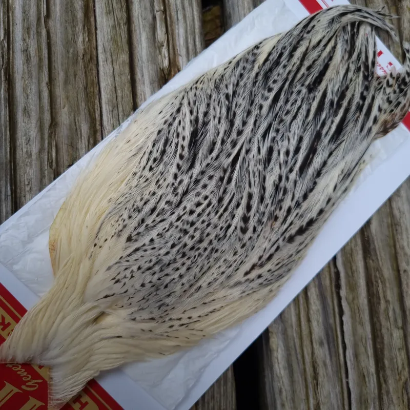 Whiting Hen Cape in Unique Variant E Cream/ Salt and Pepper-1