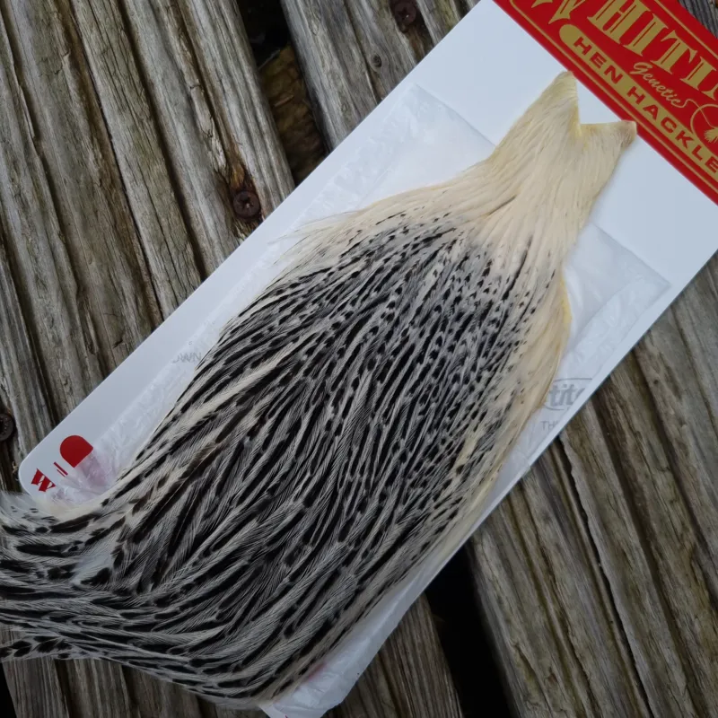 Whiting Hen Cape in Unique Variant F Cream / Salt and Pepper/ Silver Badger
