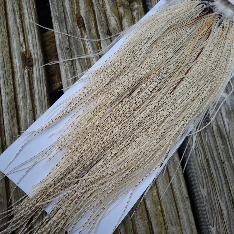Whiting Pro-Grade Midge Rooster Saddle in Unique Variant A Salt and Pepper/Pure White/Silver Badger Approx Tying Sizes 16/18/20 /22/24 and out of sight-5
