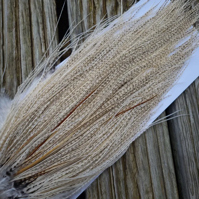 Whiting Pro-Grade Midge Rooster Saddle in Unique Variant A Salt and Pepper/Pure White/Silver Badger Approx Tying Sizes 16/18/20 /22/24 and out of sight