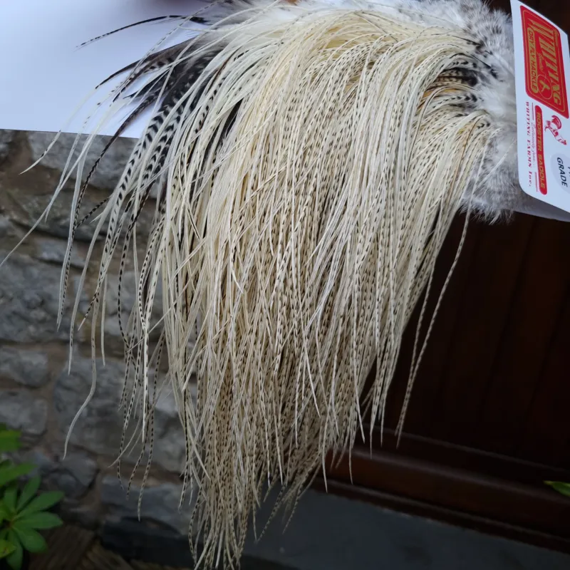 Whiting Pro-Grade Midge Rooster Saddle in Unique Variant A Salt and Pepper/Pure White/Silver Badger Approx Tying Sizes 16/18/20 /22/24 and out of sight-3