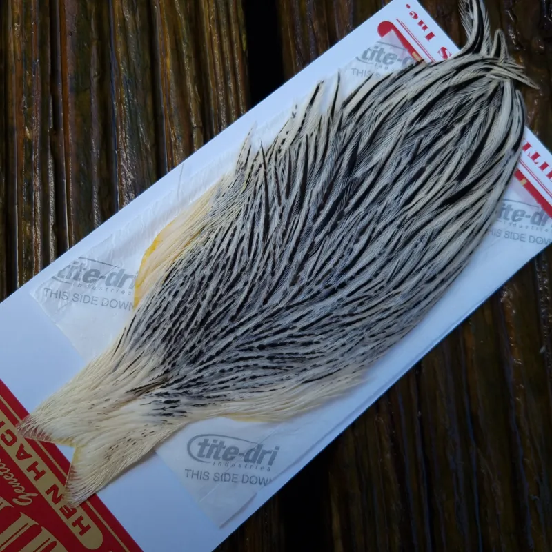 Whiting Hen Cape in Unique Variant A Silver Badger-1