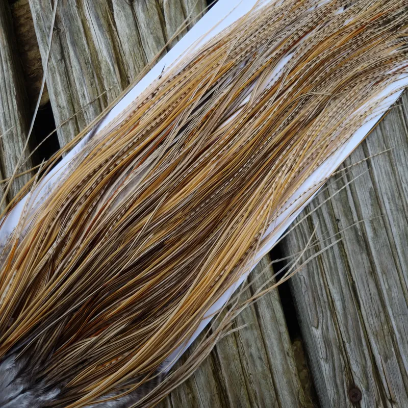 Whiting Pro-Grade Midge Rooster Saddle in Unique Variant B Ivory/Light Ginger/Golden Straw/Golden Badger/Silver Badger/ Brassy Badger/Grizzly/Salt and Pepper/Furnace Approx tying size 18/20/22/24 and out of sight-3