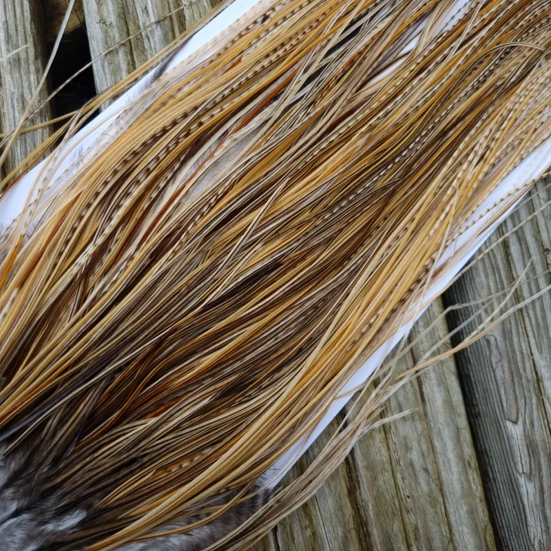 Whiting Pro-Grade Midge Rooster Saddle in Unique Variant B Ivory/Light Ginger/Golden Straw/Golden Badger/Silver Badger/ Brassy Badger/Grizzly/Salt and Pepper/Furnace Approx tying size 18/20/22/24 and out of sight-4