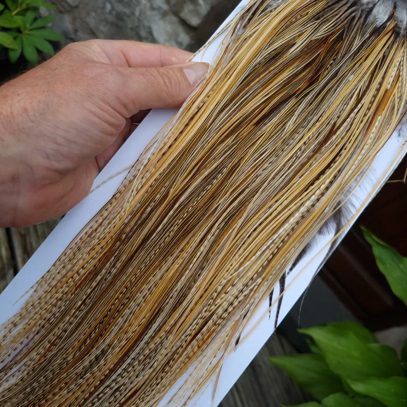 Whiting Pro-Grade Midge Rooster Saddle in Unique Variant B Ivory/Light Ginger/Golden Straw/Golden Badger/Silver Badger/ Brassy Badger/Grizzly/Salt and Pepper/Furnace Approx tying size 18/20/22/24 and out of sight-8