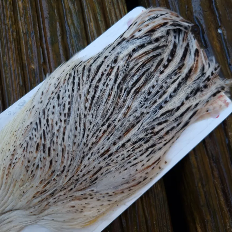 Whiting Hen Cape in Unique Variant F Red Game Salt and Pepper/ Red Game Badger-1