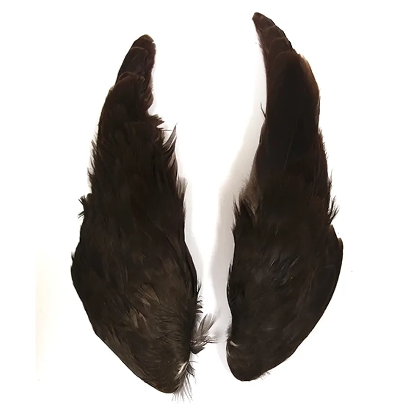 Moorhen Wings