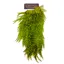 Whiting American Rooster Saddle in Grizzly Fl.Green Chartreuse