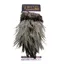 Whiting American Rooster Saddle in Silver Badger