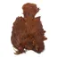 Whiting Brahma Hen Soft Hackle with Chickabou in Natural Brown