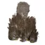 Whiting Brahma Hen Soft Hackle with Chickabou in Natural Mottled Gray