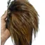 Whiting Coq de Leon Rooster Saddle Bronze Grade in Ginger Pardo