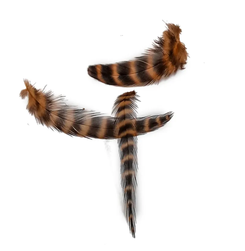 Whiting Exclusive Grizzly Hen Cape in Ginger-8