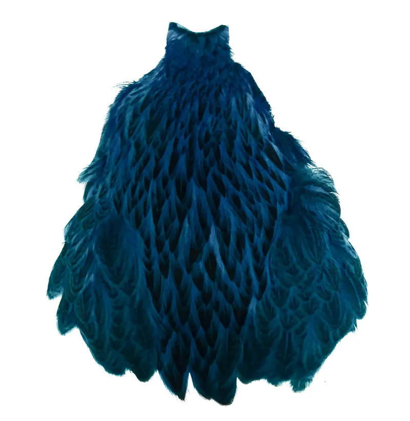 Whiting Freshwater Streamer Hen Cape in Badger dyed Kingfisher Blue