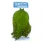 Whiting Freshwater Streamer Rooster Cape Grizzly Fl.Green Chartreuse