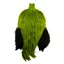 Whiting Freshwater Streamer Rooster Cape in Badger FlGreen Chartreuse