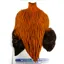 Whiting Freshwater Streamer Rooster Cape in Badger Dyed Shrimp Orange
