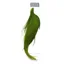 Whiting High and Dry 1/2 Rooster Cape in Grizzly Dyed Fl.Green Chartreuse
