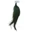 Whiting High and Dry 1/2 Rooster Cape in Grizzly Dyed Peacock Herl