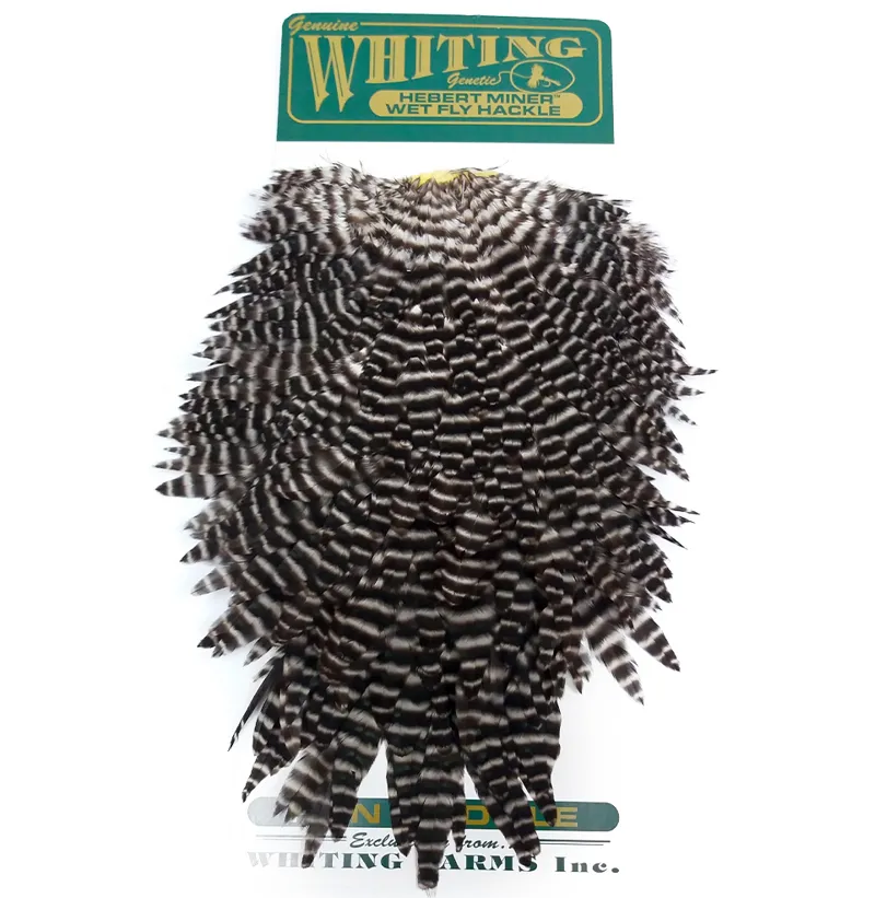  Whiting Hebert Miner Hen Saddle in Grizzly